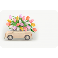 geschenkgutschein-fur-jeden-anlass